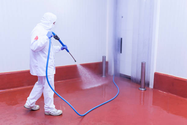 Best Playground Equipment Cleaning  in Gibbsboro, NJ